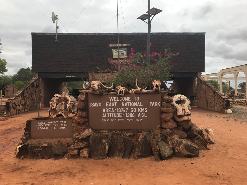 The Tsavo Journey&nbsp;Begins…